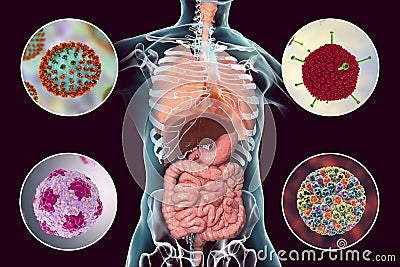 Human pathogenic viruses causing respiratory and enteric infections Cartoon Illustration