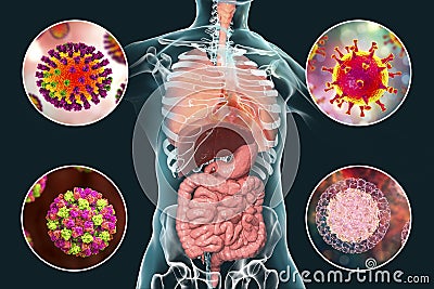 Human pathogenic viruses causing respiratory and enteric infections Cartoon Illustration