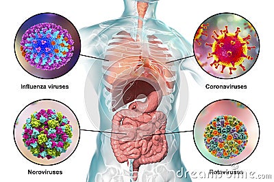 Human pathogenic viruses causing respiratory and enteric infections Cartoon Illustration