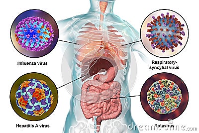 Human pathogenic viruses causing respiratory and enteric infections Cartoon Illustration