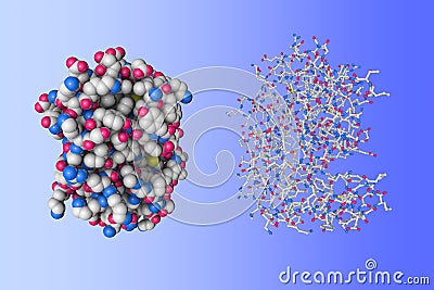 Human phosphodiesterase. Molecular models on blue background. 3d illustration Cartoon Illustration