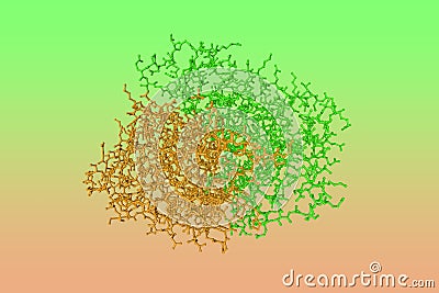 Human quinone reductase 2. Rendering with differently colored protein chains based on protein data bank. 3d illustration Cartoon Illustration
