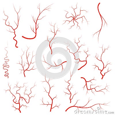 Human red eye veins set, anatomy blood vessel arteries illustration group. Vector medical eyeball vein arteries system Vector Illustration