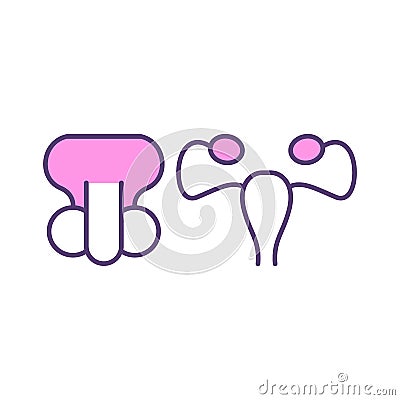 Human reproductive system RGB color icon Vector Illustration