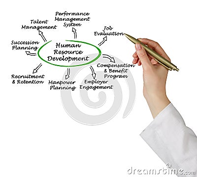 Human Resource Development Stock Photo