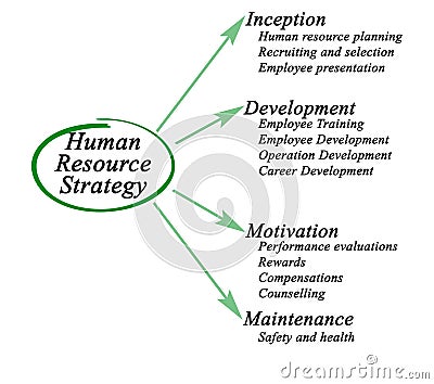 Human Resource Strategy Stock Photo