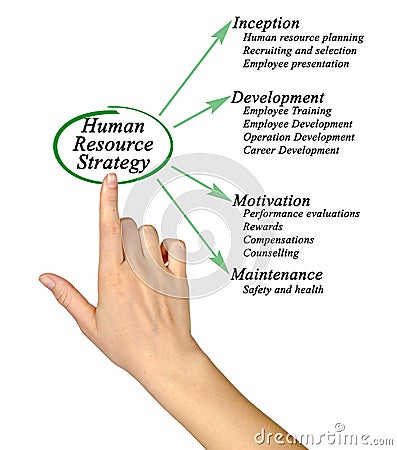 Human Resource Strategy Stock Photo