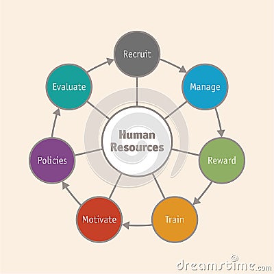 Human Resources cycle Stock Photo