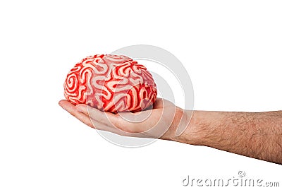 Human rubber brain in a hand Stock Photo
