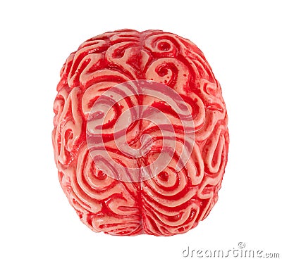 Human rubber brain Stock Photo