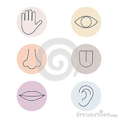 Human senses colorful line icon set. People part of body in circle shapes. Vector Illustration
