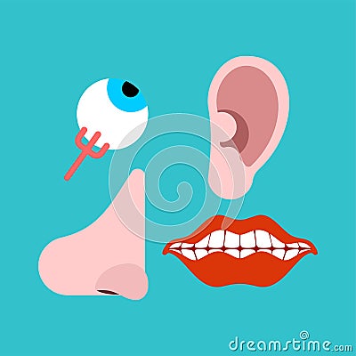 Human sensory organs set. Eyes and nose. Ears and mouth Vector Illustration