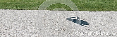 A human shadow, summer day, jump, Vienna Austria Stock Photo