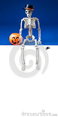 Human skeleton in black hat with pumpkin Jack O Lantern basket sits with its legs dangling on white banner for Stock Photo