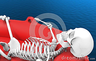 3d rendering. A human skeleton bone lying on red life rescue boat alone on blue water surface background. with clipping path Stock Photo