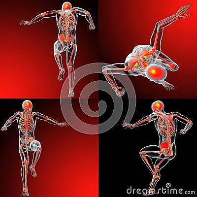 Human skeleton Cartoon Illustration