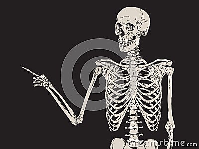Human skeleton finger pointing isolated over black background vector Vector Illustration