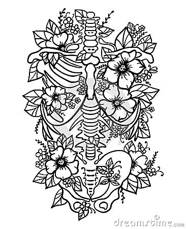 Human skeleton floral ribs pelvis bones torso svg human anatomy Vector Illustration