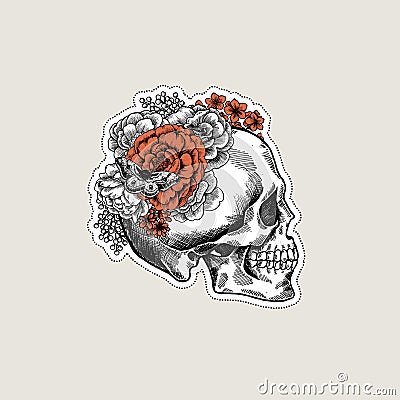 Halloween floral vintage skull illustration. Human skeleton. Cartoon Illustration