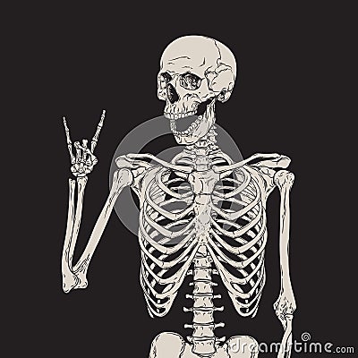 Human skeleton posing isolated over black background vector Vector Illustration