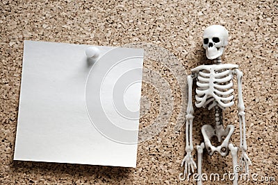 The human skeleton in the right corner of the frame on the left is blank note paper attached to a cork pin background Stock Photo