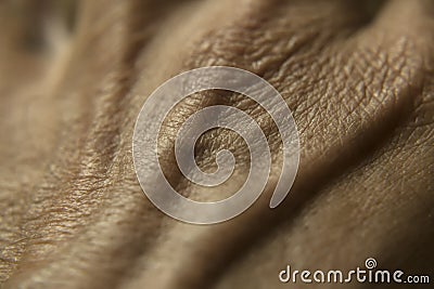 Human skin Stock Photo