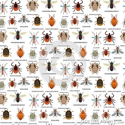 Human skin parasites vector housing pests insects disease parasitic bug macro animal bite dangerous infection medicine Vector Illustration