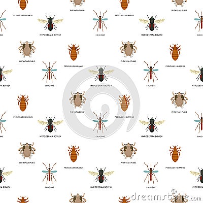 Human skin parasites vector housing pests insects disease parasitic bug macro animal bite dangerous infection medicine Vector Illustration