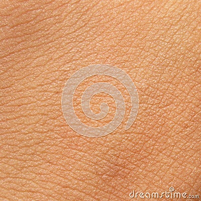 Human skin texture Stock Photo