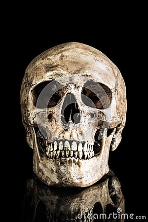 Human skull Stock Photo