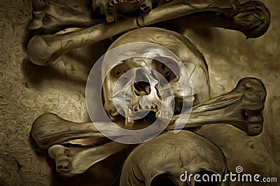 Human Skull And Bones Stock Photo