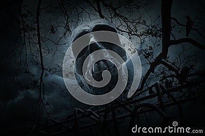 Human skull with old fence over dead tree, crow, moon and cloudy Stock Photo