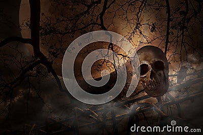 Human skull on old fence over dead tree, moon and cloudy sky, My Stock Photo
