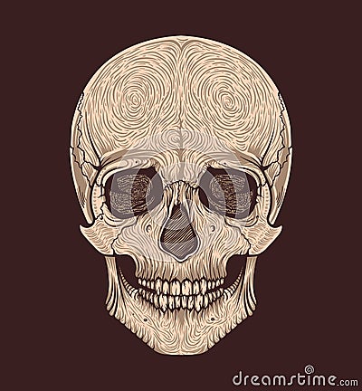 Human skull tribal style.Tattoo blackwork. Vector hand drawn illustration. Vector Illustration