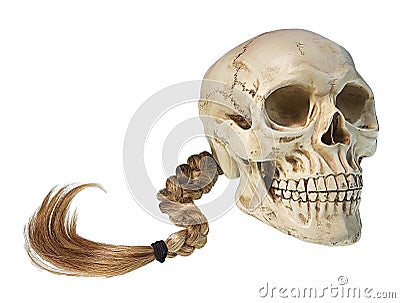 Human Skull with Braid Stock Photo