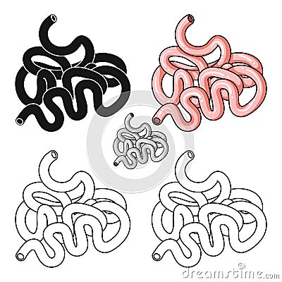 Human small intestine icon in cartoon style isolated on white background. Human organs symbol stock vector illustration. Vector Illustration