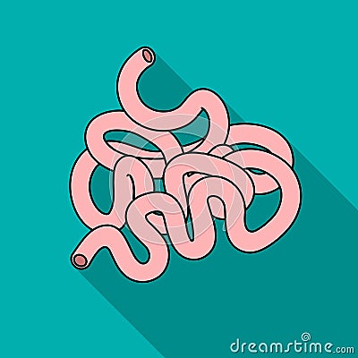 Human small intestine icon in flat style isolated on white background. Human organs symbol stock vector illustration. Vector Illustration