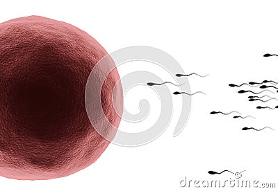 Human sperm Stock Photo