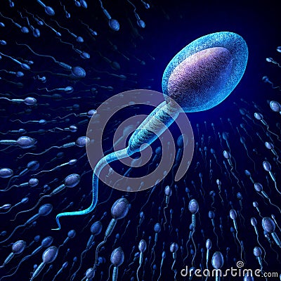 Human Sperm Cell Stock Photo