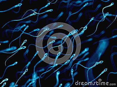 Human sperms Cartoon Illustration