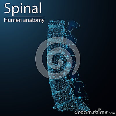 Human spinal anatomy organ translucent low poly triangle futuristic glowing. On dark blue background Stock Photo
