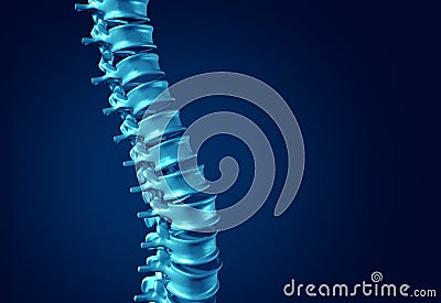 Human Spine Concept Stock Photo