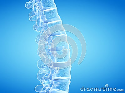 The human spine Cartoon Illustration