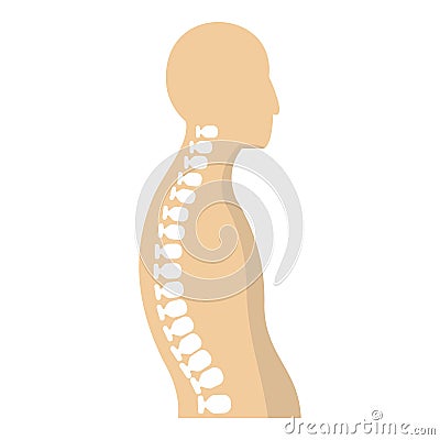 Human spine icon Vector Illustration