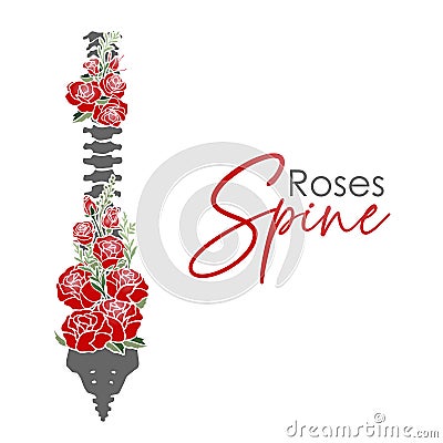 Human spine. Roses with spine. Anatomy. Floral tattoo. Vector Illustration