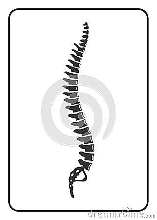 Human spine sign Vector Illustration