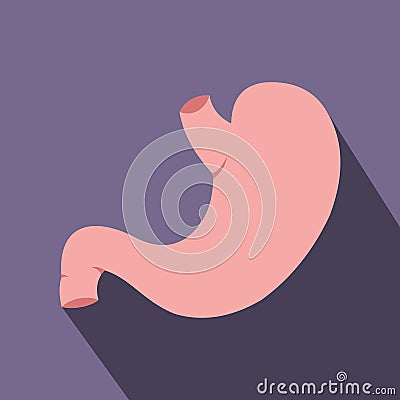 Human stomach flat icon Vector Illustration