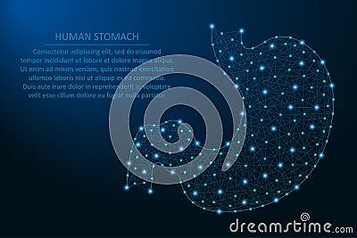 Human stomach, healthy human internal digestion organ made by points and lines, polygonal wireframe mesh, low poly illustration. Vector Illustration