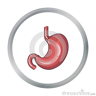 Human stomach icon in cartoon style isolated on white background. Human organs symbol stock vector illustration. Vector Illustration