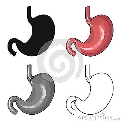 Human stomach icon in cartoon style isolated on white background. Human organs symbol stock vector illustration. Vector Illustration